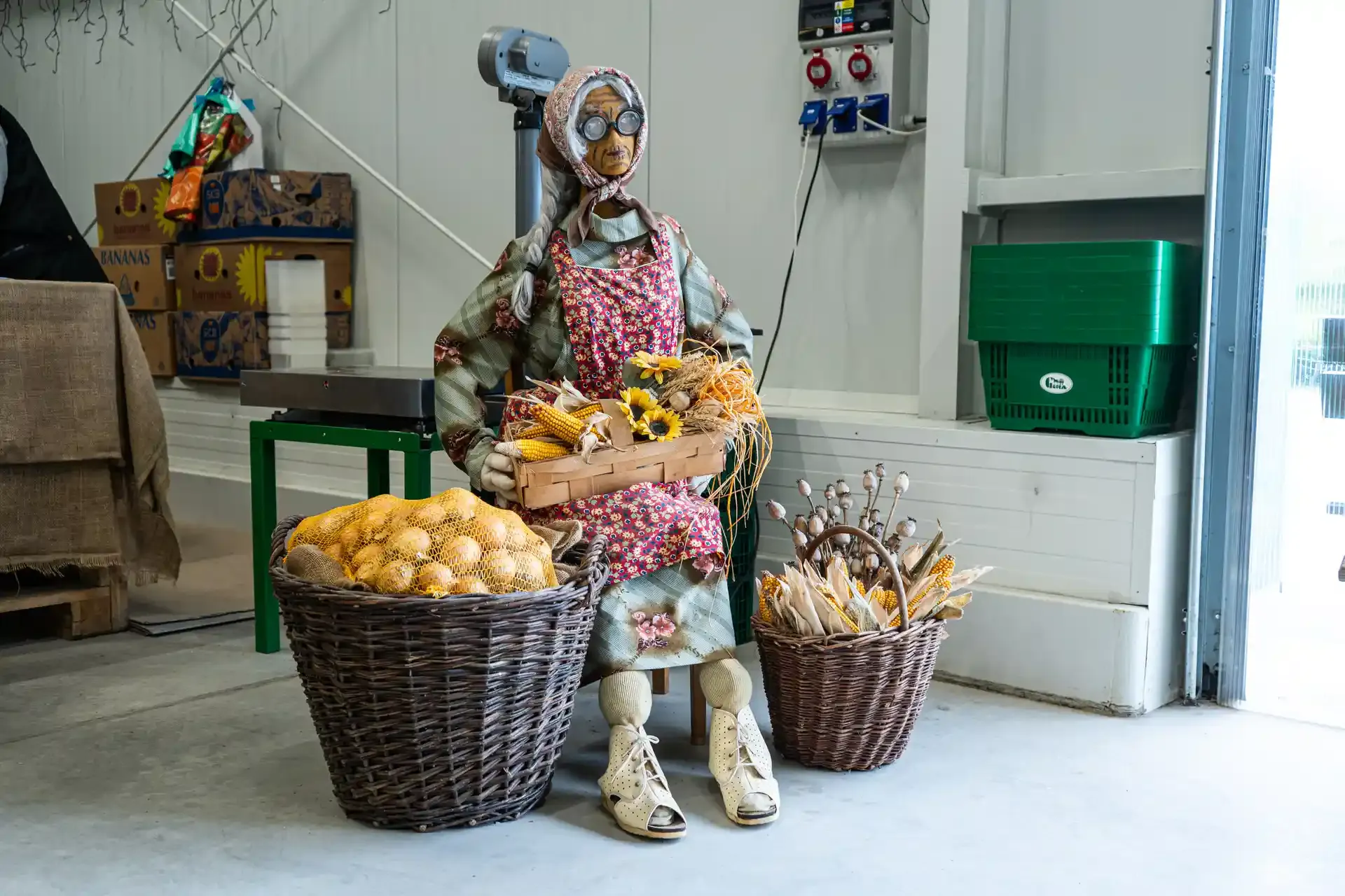 Prodejna GIRA fruit 12