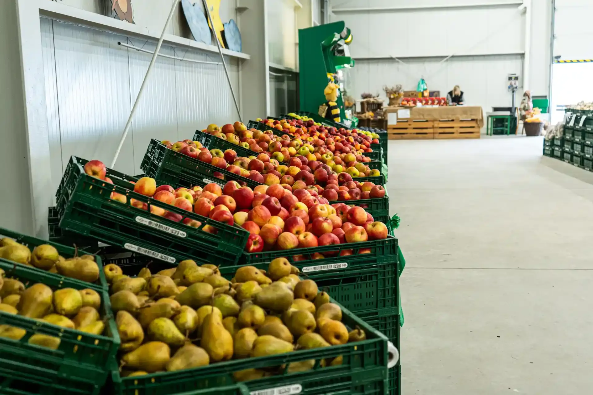 Prodejna GIRA fruit 16