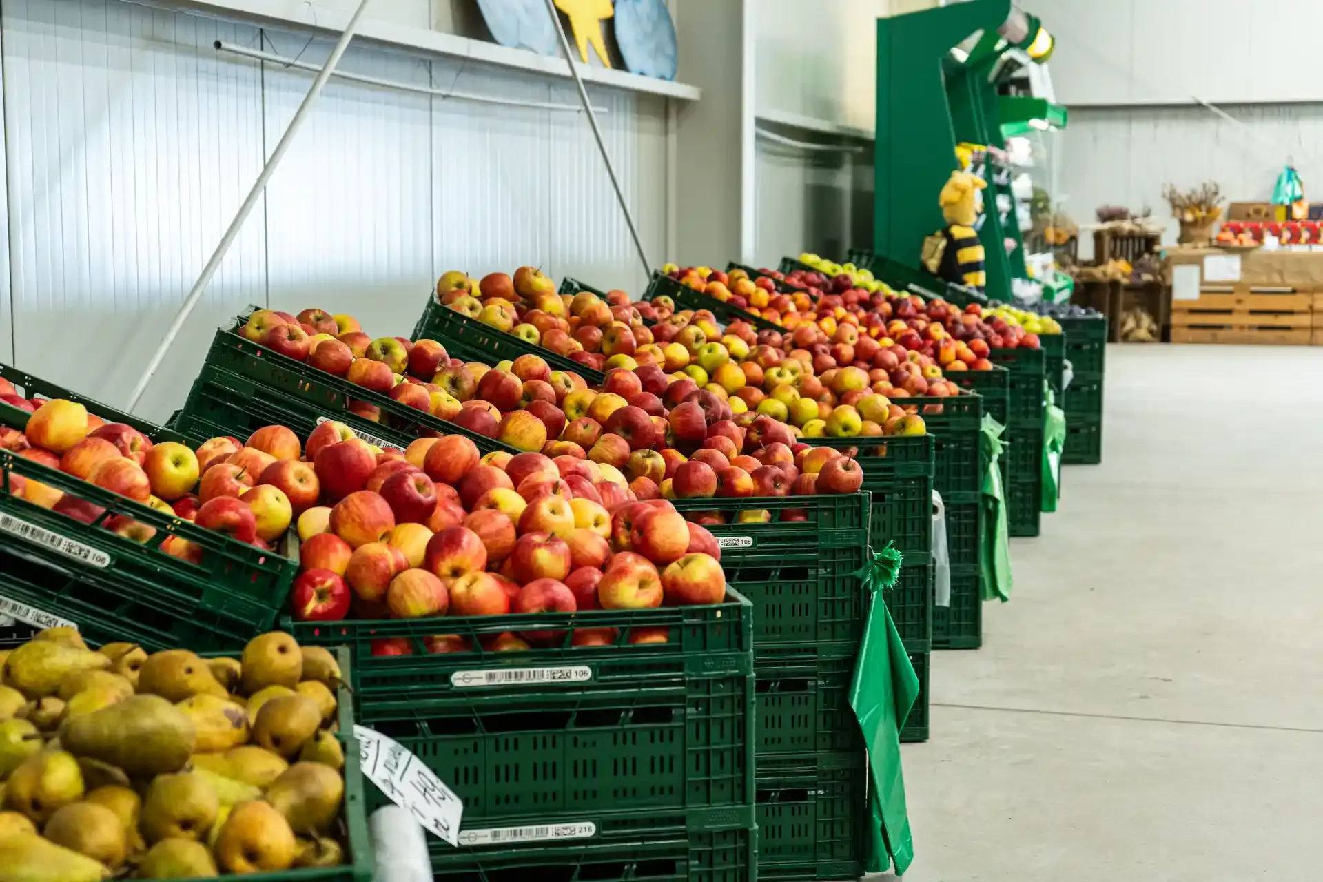 Prodejna GIRA fruit 17