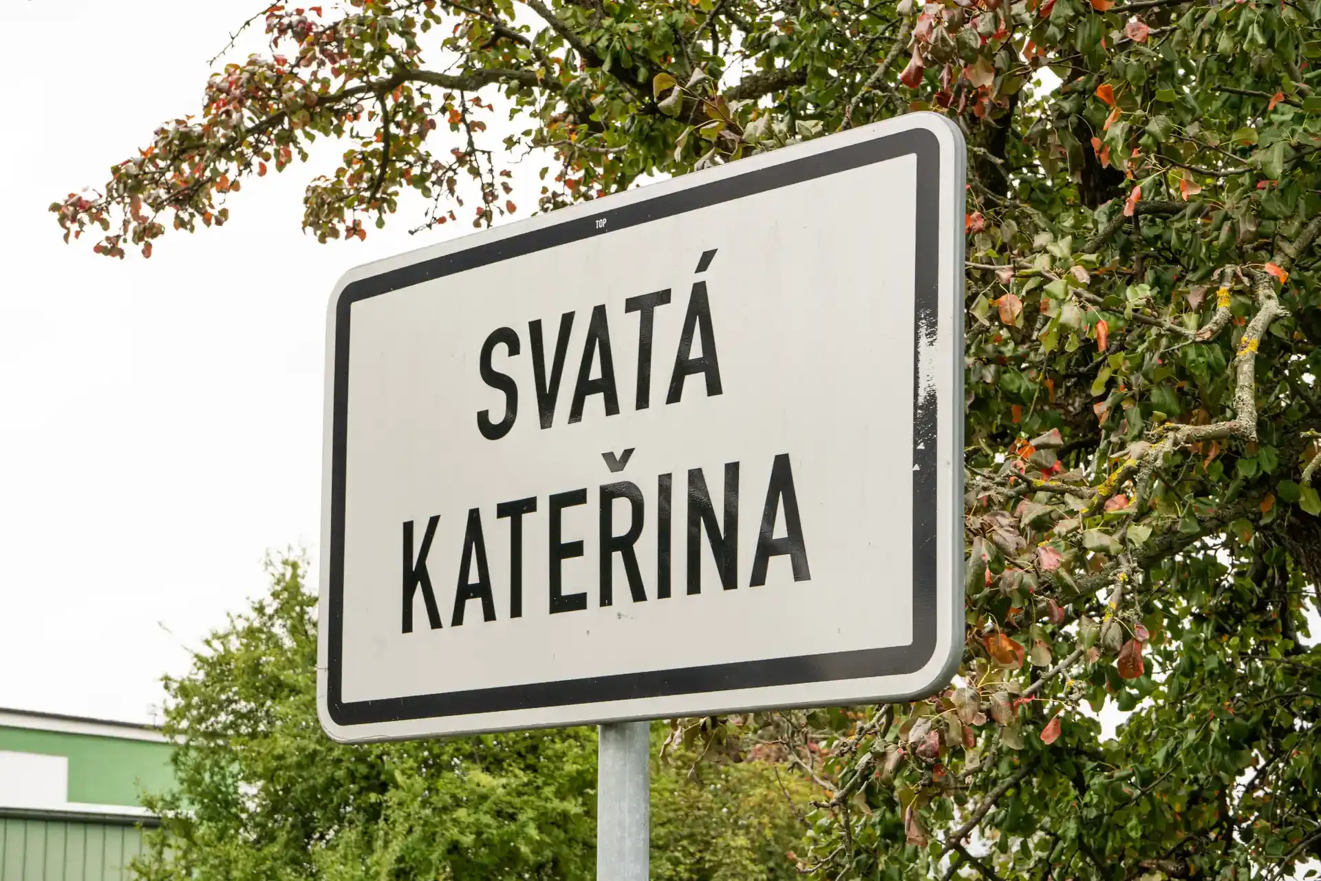 Prodejna GIRA fruit 2